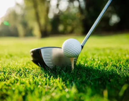 driver behind teed up ball, but in the middle of the fairway for some reason